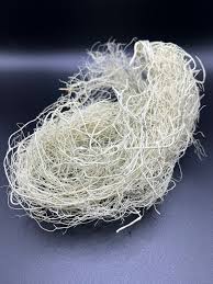 Attēlu rezultāti vaicājumam “Usnea hirta”