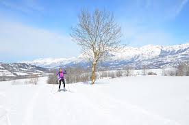 Image result for Scandinavian slope and cross country skiing