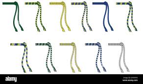 Image result for Cordao De Ouro Capoeira