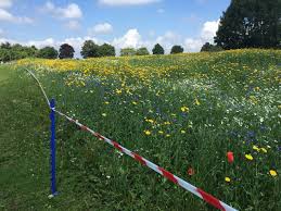 Image result for Cheltenham Triathlon Club