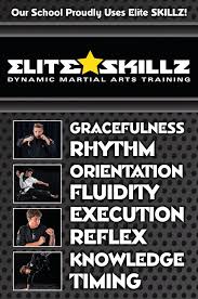 Image result for Skillz Martial Arts