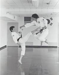 Image result for Hed Tkd (Dorking Tae Kwon-Do)