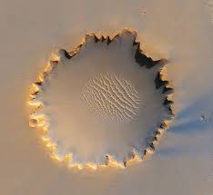 Image result for mars trees