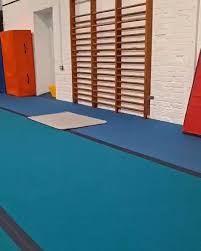 Image result for Border Counties School Of Gymnastics