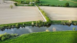 Image result for Runnymede Angling Association