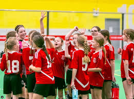 Image result for Skillcentre Badminton Club