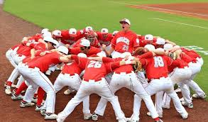 Image result for Red Diamond Sports Club