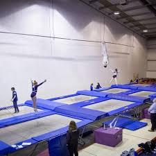 Image result for Olga Gymnastics and Trampolining Club