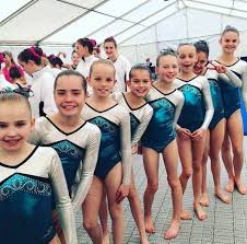 Image result for Tamworth Olympic Gymnastics Club