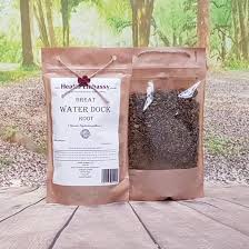 Attēlu rezultāti vaicājumam “Rumex hydrolapathum”