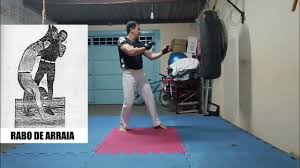 Image result for Rabo de Arraia Capoeira