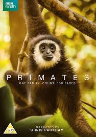 Attēlu rezultāti vaicājumam “Primates”