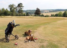 Image result for Harewood Downs Golf Club