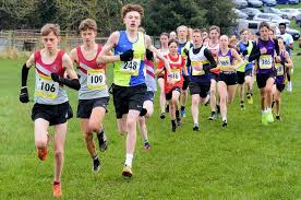 Image result for West Cheshire Athletics Club