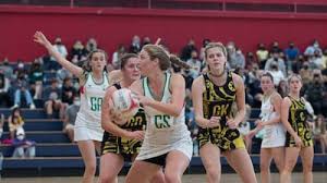 Image result for Falcons Netball Club