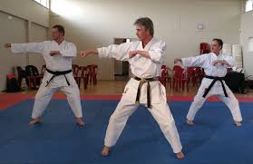 Image result for enpi dojo