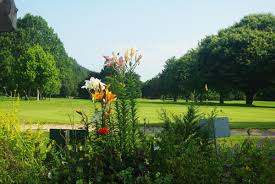 Image result for Betws-Y-Coed Golf Club