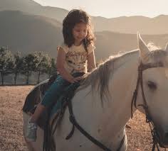 Image result for Elstead Riding Club