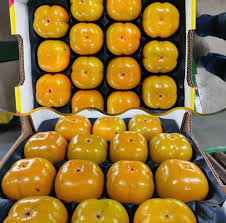 Image result for sharon fruit