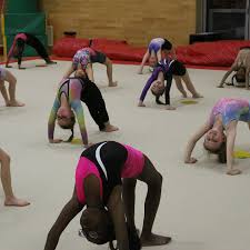 Image result for Europa Gymnastics Club, Bexley