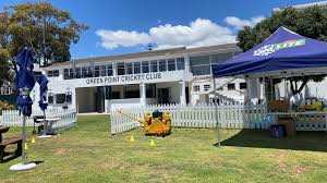 Image result for Forest Green Cricket Club