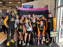 Image result for Elmbridge Girls Basketball Club