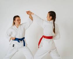 Image result for ZOKU SHOTOKAN KARATE (Baldock)