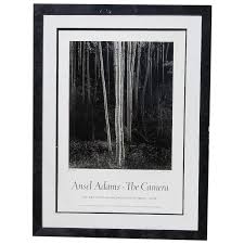 Image result for Ansel Adams Aspens New Mexico