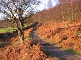 Image result for Nottingham and Derby Walking Group