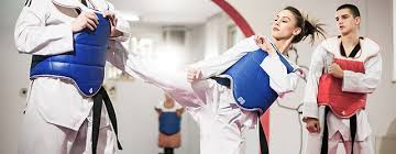 Image result for Invertay Taekwondo Club