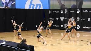Image result for Swallows Baton Twirling Team