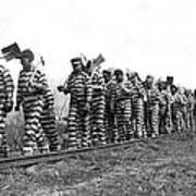 Image result for Freck Chain Gang