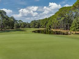 Image result for Dolphina Gc