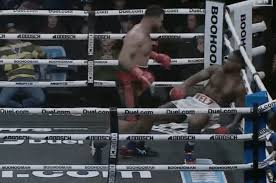 Image result for GFC Muay Thai Boxing