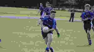 Image result for South Shore Cricket & Squash Club(Inc Scorpions Amateur Rugby League Club)