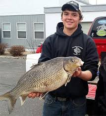 Image result for Carpiodes cyprinus