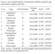 Image result for genome sizes
