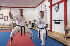 Image result for Uwe Karate Club