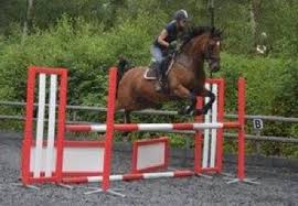 Image result for Chobham and District Riding Club
