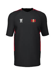 Image result for Llangennech Rfc