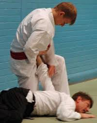 Image result for White Oak Aikido Reading