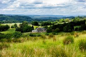 Image result for Bellingham Golf Club