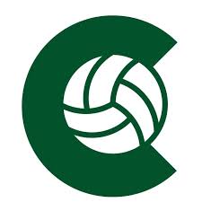Image result for Carlton Netball Club