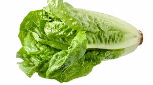 Image result for Römischer Salat