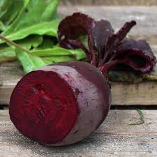 Image result for Beta vulgaris