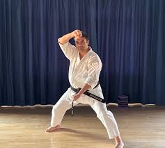 Image result for HEIWA SHOTOKAN KARATE CLUB
