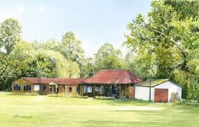Image result for Byfleet Cricket Club