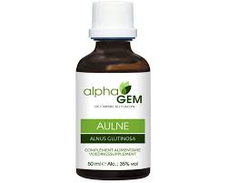 Attēlu rezultāti vaicājumam “Alnus glutinosa bud”