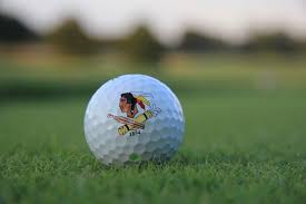 Image result for Hampole & Skelbrooke Cricket Club