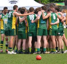 Image result for West London Wildcats